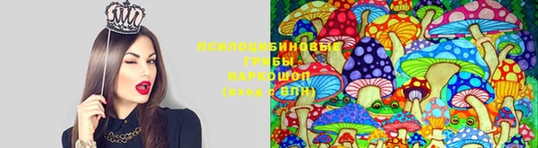 Альфа ПВП Белокуриха