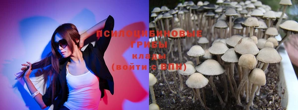 Альфа ПВП Белокуриха