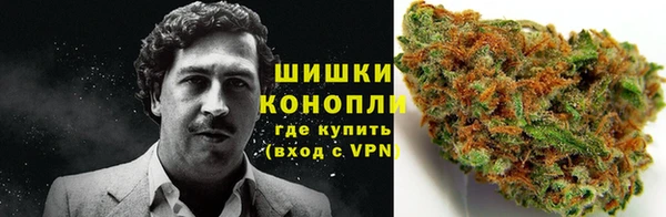 Альфа ПВП Белокуриха