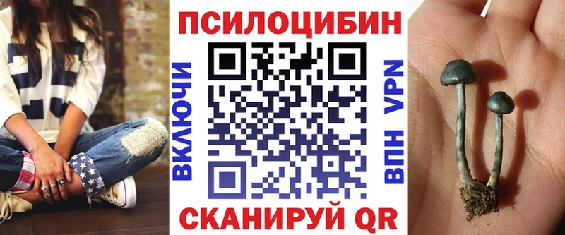 Галлюциногенные грибы прущие грибы  наркота  Строитель 